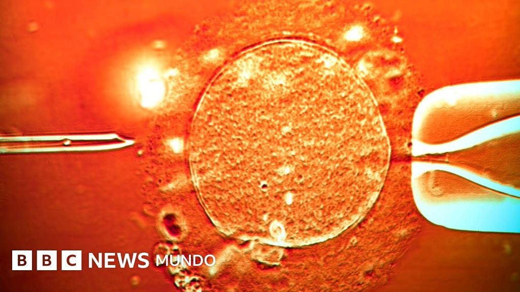 El esperma de un donante portador de un gen de cáncer fue utilizado para concebir casi 200 niños: "Varios han desarrollado tumores y algunos ya han fallecido"