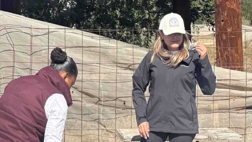 Exdirectora del INVI en BCS enfrenta proceso por presunto desfalco