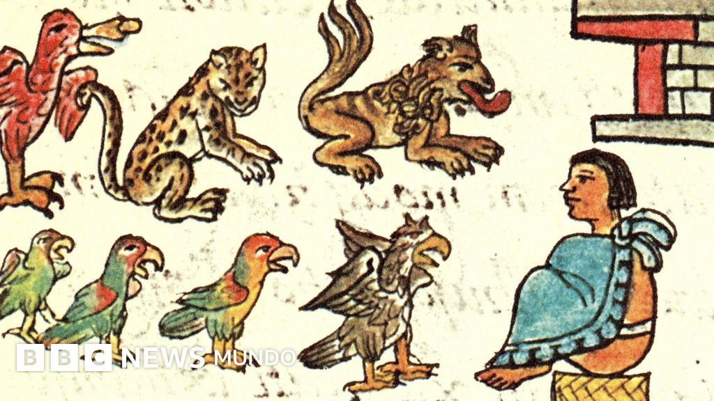 El fascinante zoológico de Moctezuma que sorprendió a los españoles hace 500 años y que hoy comenzamos a descubrir