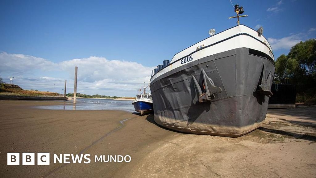 La sequía sin precedentes que azota el Rin y el Danubio: un riesgo para la economía y la energía en Europa